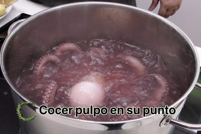 Cocer El Pulpo En Casa