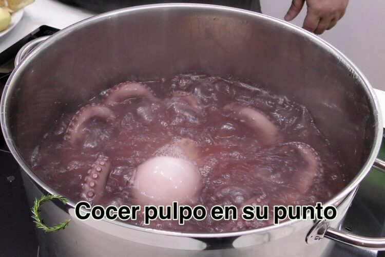 Cocer El Pulpo En Casa