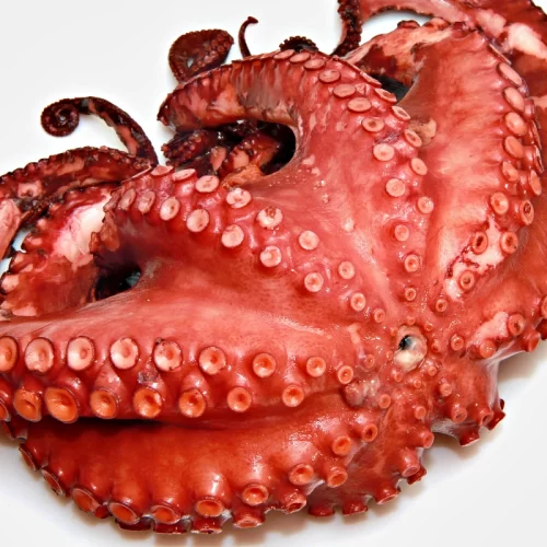 Pulpo Cocido