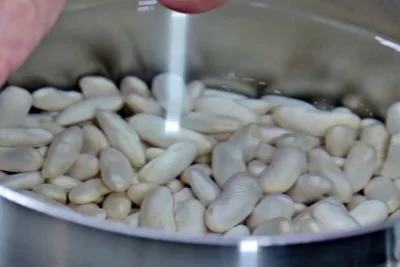 00 Ponemos Las Fabes En Remojo